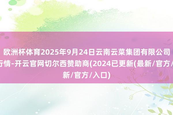 欧洲杯体育2025年9月24日云南云菜集团有限公司价钱行情-开云官网切尔西赞助商(2024已更新(最新/官方/入口)