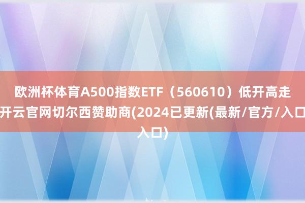 欧洲杯体育A500指数ETF（560610）低开高走-开云官网切尔西赞助商(2024已更新(最新/官方/入口)
