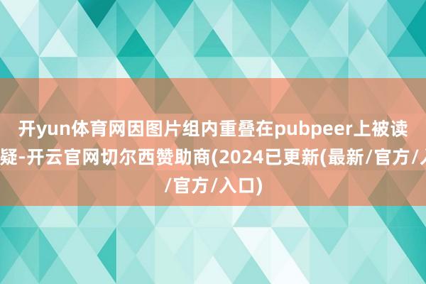 开yun体育网因图片组内重叠在pubpeer上被读者质疑-开云官网切尔西赞助商(2024已更新(最新/官方/入口)