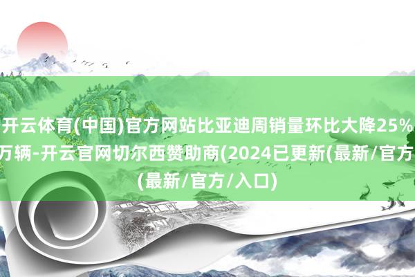 开云体育(中国)官方网站比亚迪周销量环比大降25%至4.5万辆-开云官网切尔西赞助商(2024已更新(最新/官方/入口)