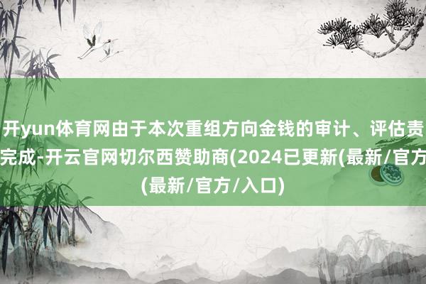 开yun体育网由于本次重组方向金钱的审计、评估责任尚未完成-开云官网切尔西赞助商(2024已更新(最新/官方/入口)