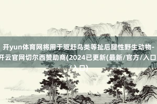 开yun体育网将用于驱赶鸟类等扯后腿性野生动物-开云官网切尔西赞助商(2024已更新(最新/官方/入口)